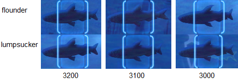 spearfishing hitboxes equalizing
