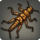 Stonefly Nymph Icon